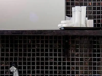 فندق فيكتوريا تورونتو